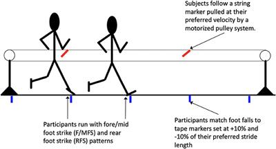 The Coupling of Stride Length and Foot Strike in Running